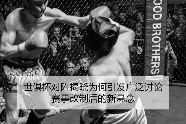 shi-ju-bei-dui-zhen-jie-xiao-wei-he-yin-fa-guang-fan-tao-lun-sai-shi-gai-zhi-hou-de-xin-xuan-nian-2-584.jpg
